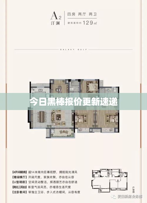今日黑棒报价更新速递