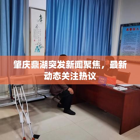 肇庆鼎湖突发新闻聚焦,最新动态关注热议