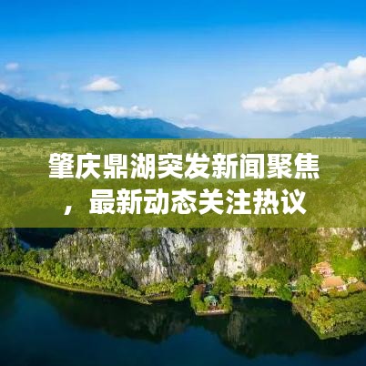 肇庆鼎湖突发新闻聚焦,最新动态关注热议