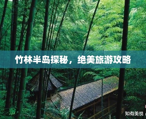 竹林半岛探秘,绝美旅游攻略