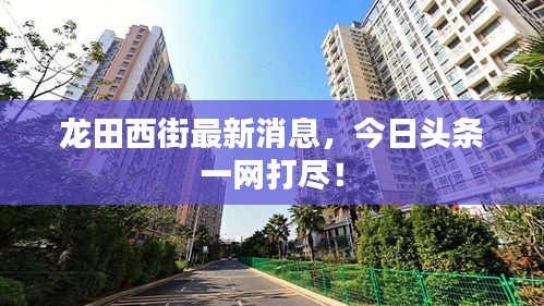 地覆天翻 第3页