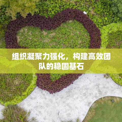 组织凝聚力强化，构建高效团队的稳固基石