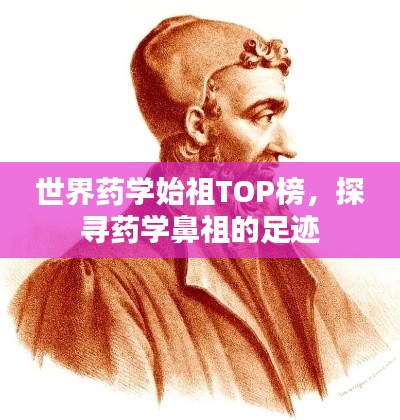 澹泊明志 第3页