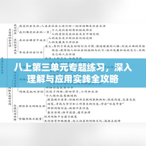 八上第三单元专题练习,深入理解与应用实践全攻略