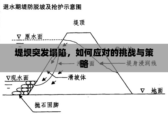 堤坝突发塌陷,如何应对的挑战与策略