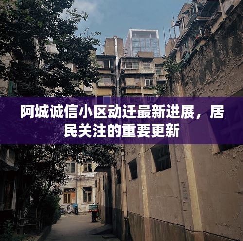 阿城诚信小区动迁最新进展,居民关注的重要更新