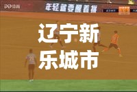 辽宁新乐城市发展新动态，民生脉搏与头条新闻