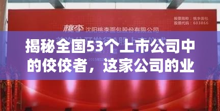 揭秘全国53个上市公司中的佼佼者，这家公司的业绩独占鳌头！