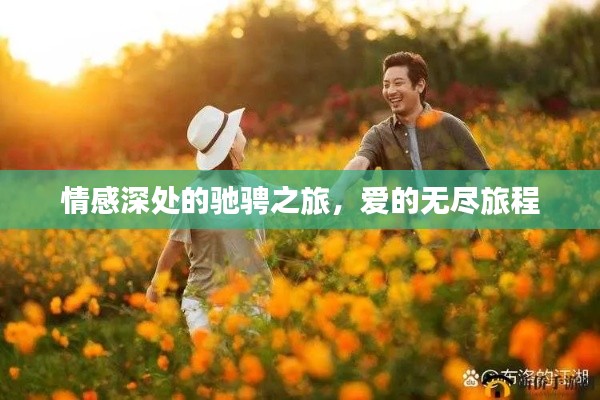 情感深处的驰骋之旅,爱的无尽旅程