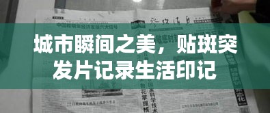 城市瞬间之美,贴斑突发片记录生活印记