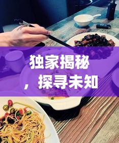 甄繁就简 第4页