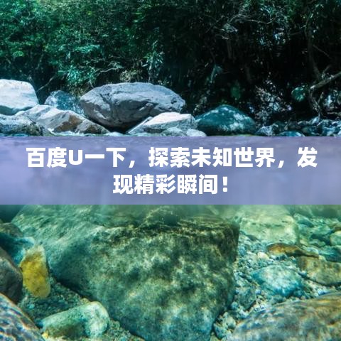 百度U一下,探索未知世界,发现精彩瞬间!