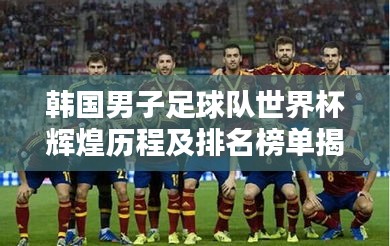 韩国男子足球队世界杯辉煌历程及排名榜单揭秘