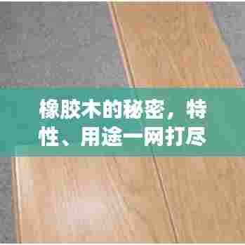 橡胶木的秘密,特性、用途一网打尽!