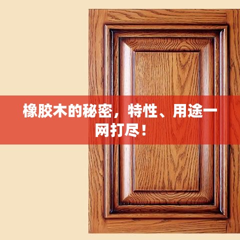 橡胶木的秘密，特性、用途一网打尽！