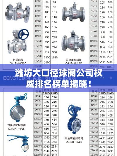 潍坊大口径球阀公司权威排名榜单揭晓!
