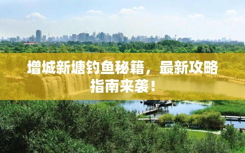 增城新塘钓鱼秘籍,最新攻略指南来袭!