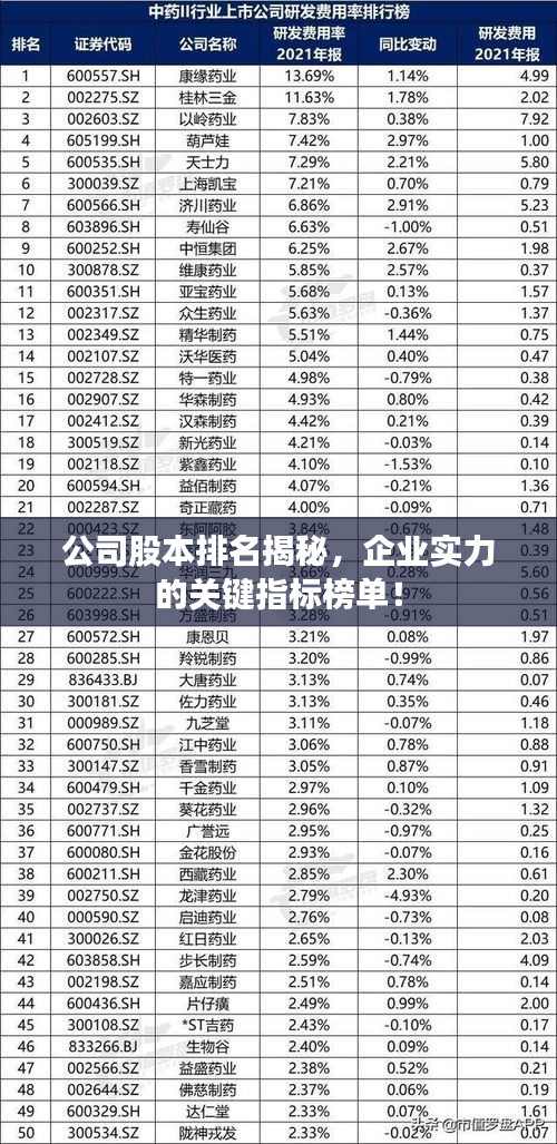 公司股本排名揭秘，企业实力的关键指标榜单！