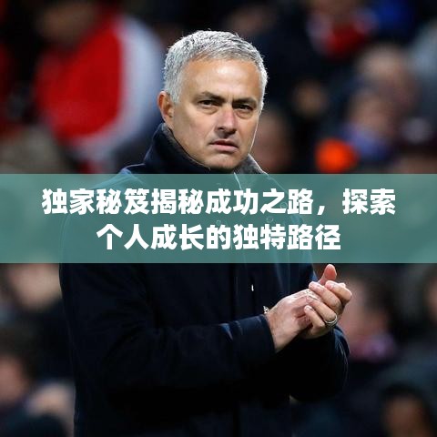 独家秘笈揭秘成功之路，探索个人成长的独特路径
