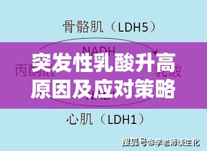突发性乳酸升高原因及应对策略