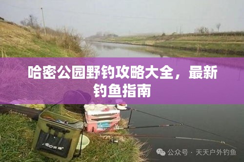 哈密公园野钓攻略大全,最新钓鱼指南