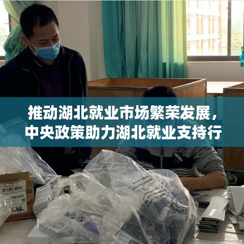 推动湖北就业市场繁荣发展,中央政策助力湖北就业支持行动