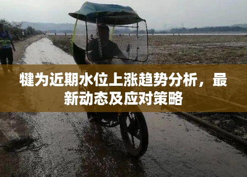 犍为近期水位上涨趋势分析，最新动态及应对策略