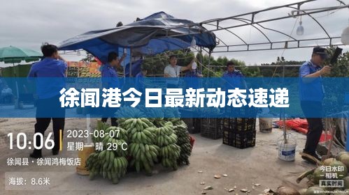 徐闻港今日最新动态速递