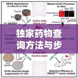 独家药物查询方法与步骤全解析,轻松查找药物秘籍!