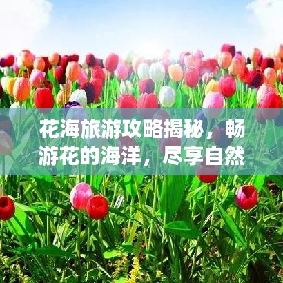 花海旅游攻略揭秘,畅游花的海洋,尽享自然之美盛宴!