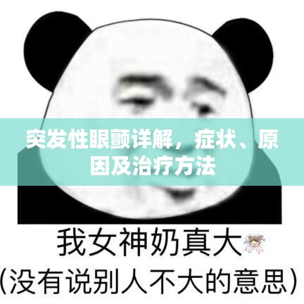 突发性眼颤详解,症状、原因及治疗方法