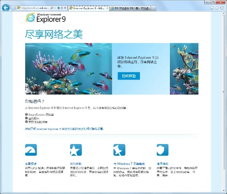 ie 版本 模拟,实地应用验证数据|R版_v2.848