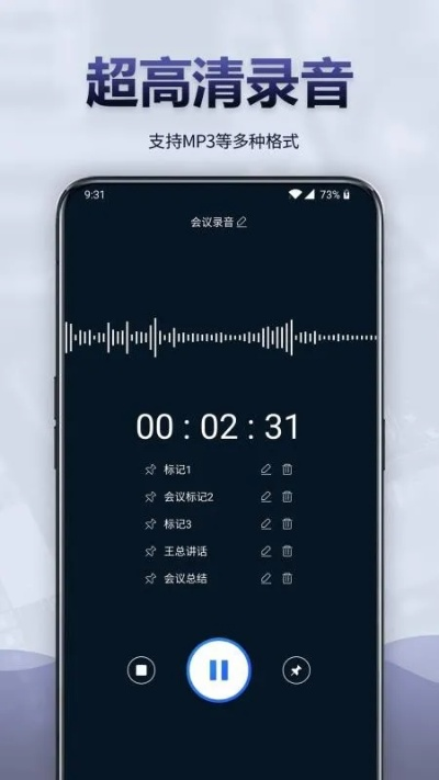语音王官方下载,安全评估策略|tool_v3.399