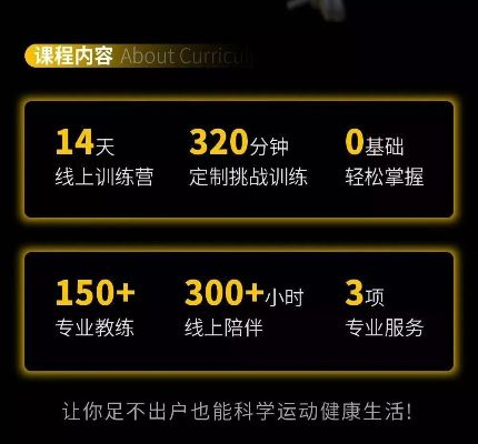 下载官方陪你练,持久性策略解析_专属款_v6.437