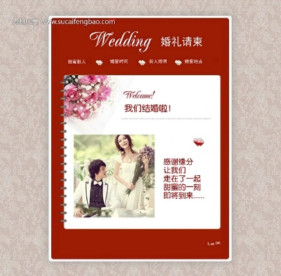 婚礼时光请帖激活码或输入法下载官方,未来规划解析说明 SHD_v5.469