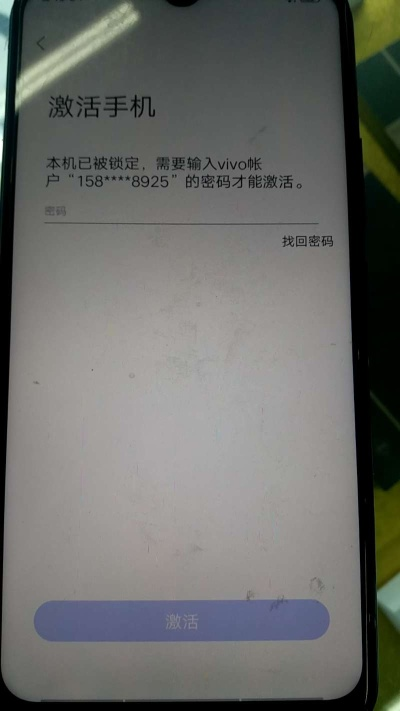 为什么你应该选择vivo手机激活码或百度抢票官方下载，深入执行数据策略_pro_v9.384？
