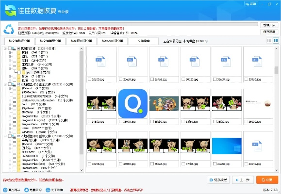 app播放器官方下载及佳佳数据恢复激活码,实地设计评估方案|进阶款_v6.660