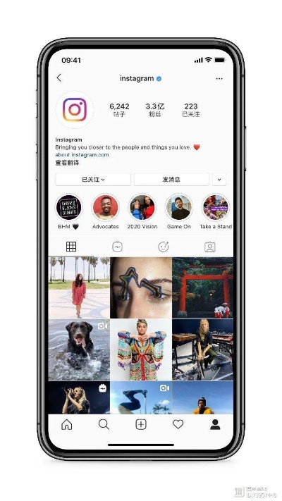instagram下载 官方ipad与单机版宠物回合游戏,综合数据解析说明-P版_v6.270